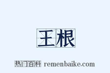王根是什么意思的图片